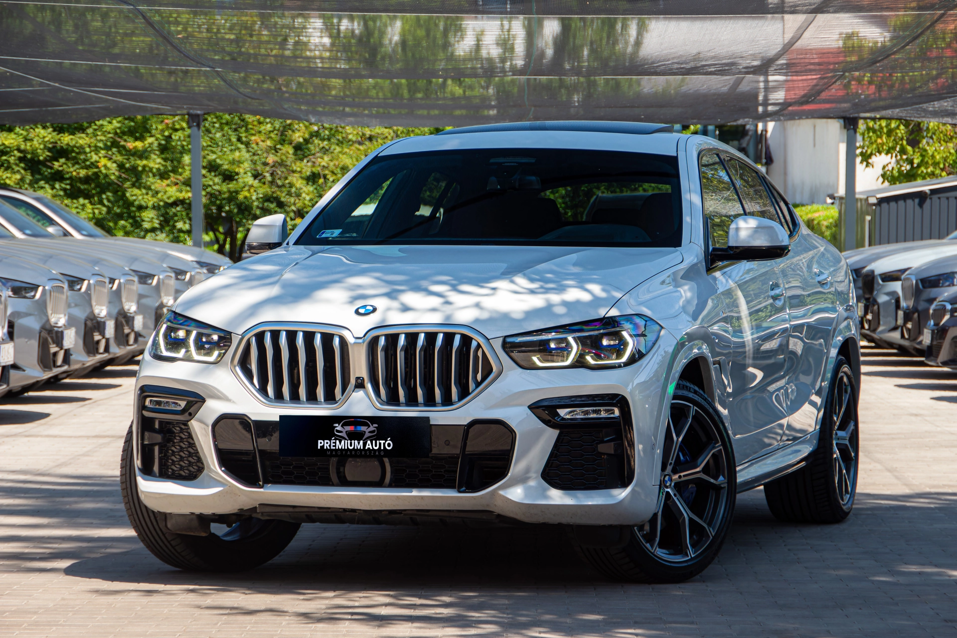 BMW X6 xDrive30d Azonosító: M121