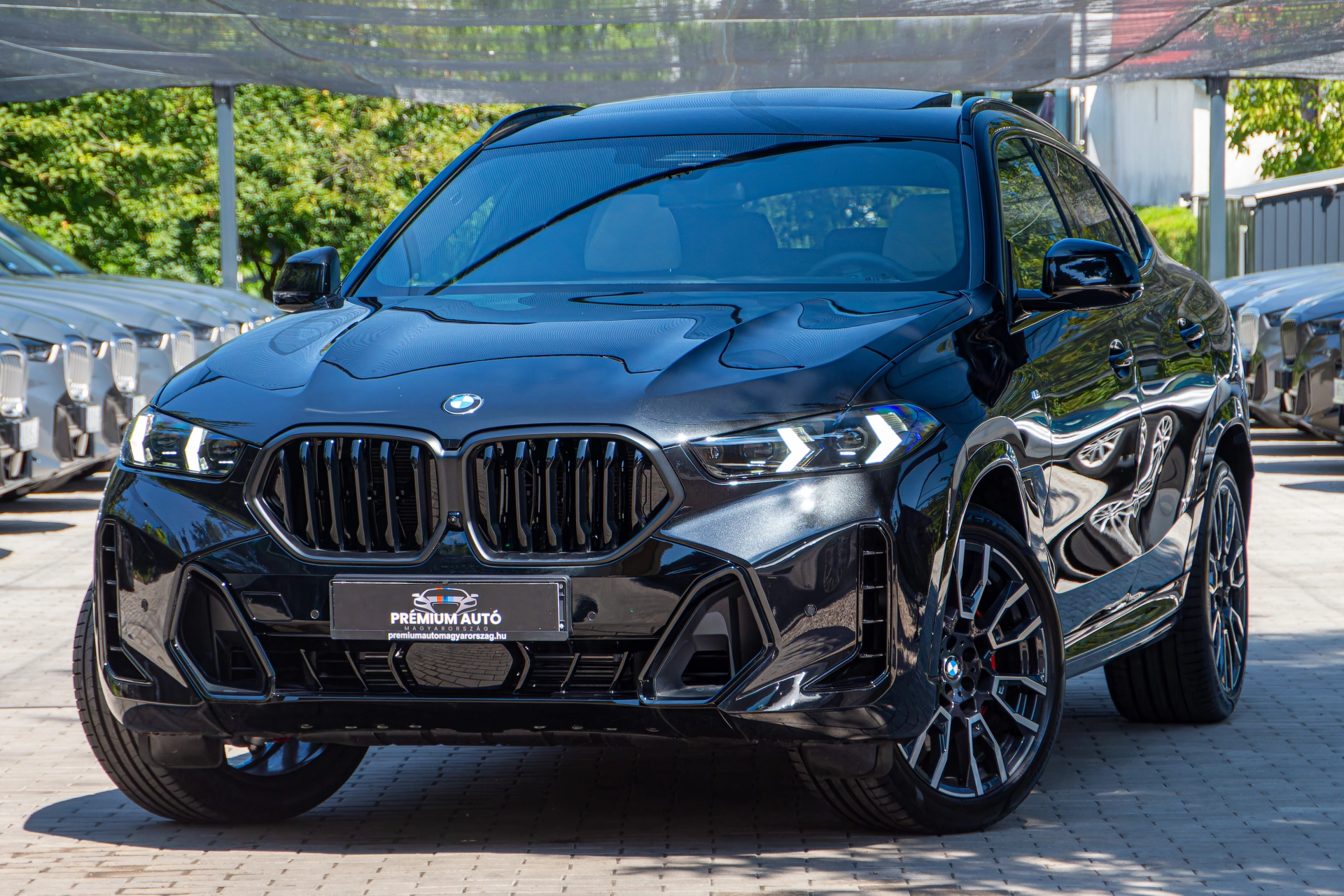 BMW X6 xDrive40I Azonosító: M125