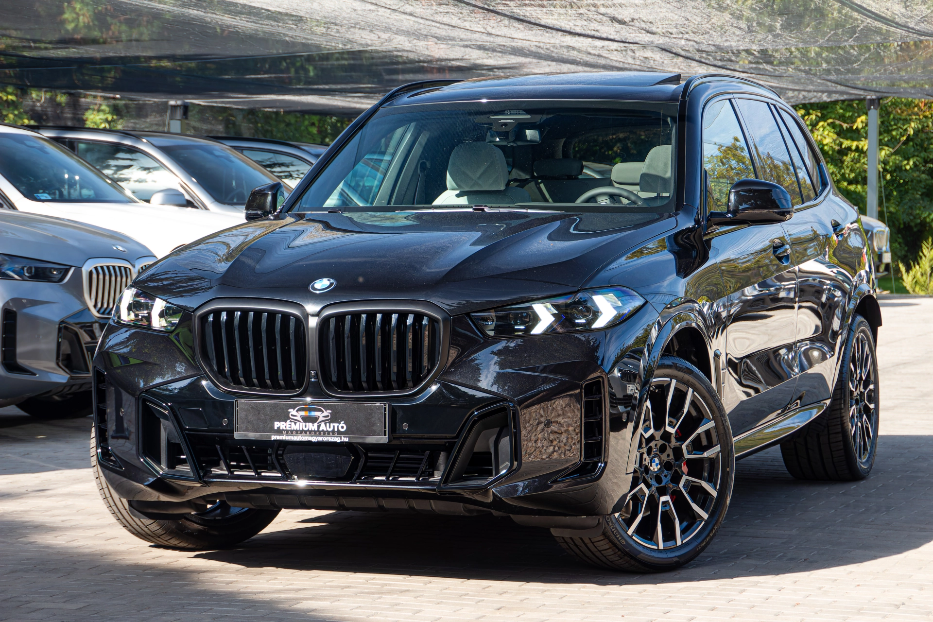 BMW X5 xDrive30d Azonosító:Br6
