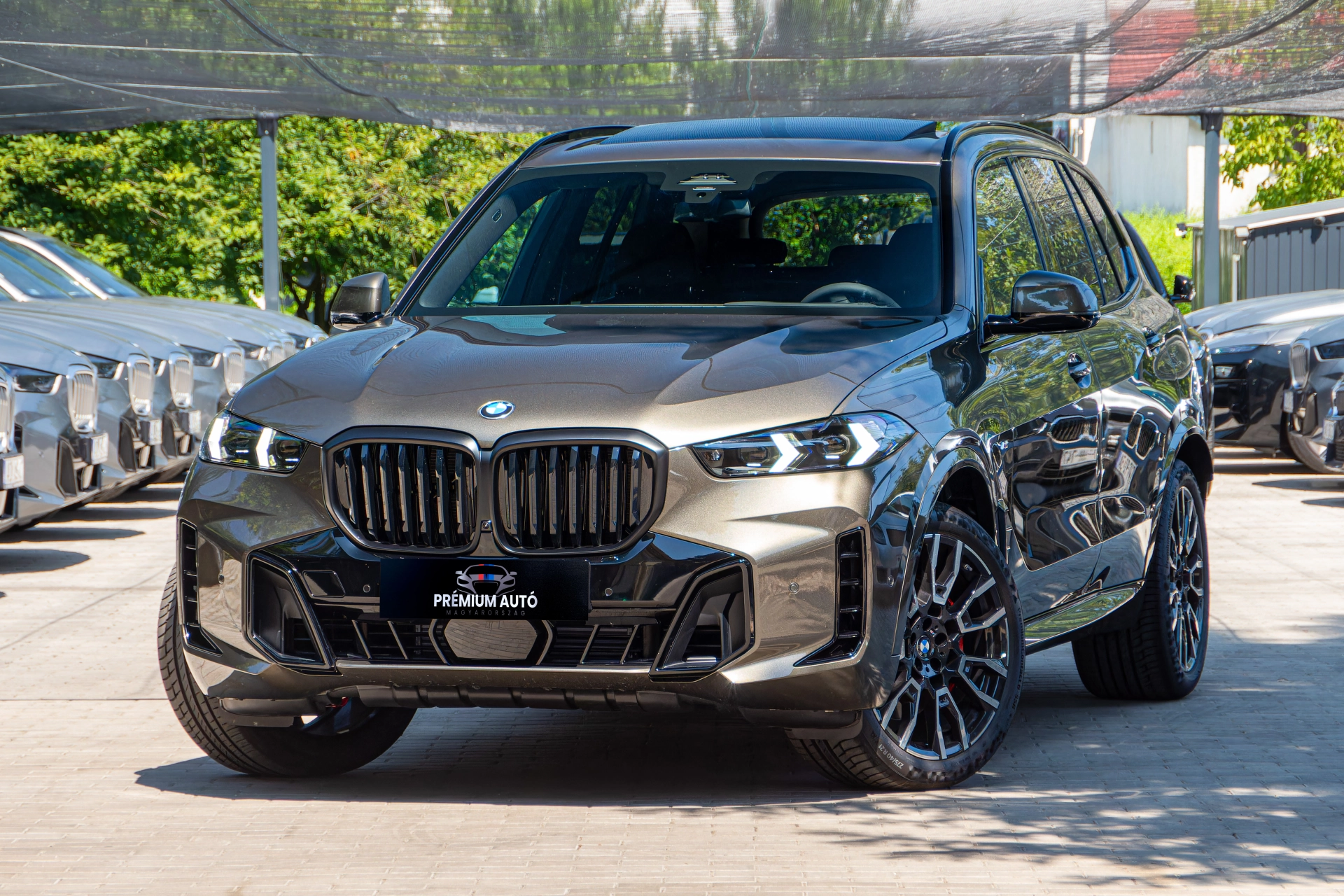 BMW X5 xDrive40d Azonosító:Br9