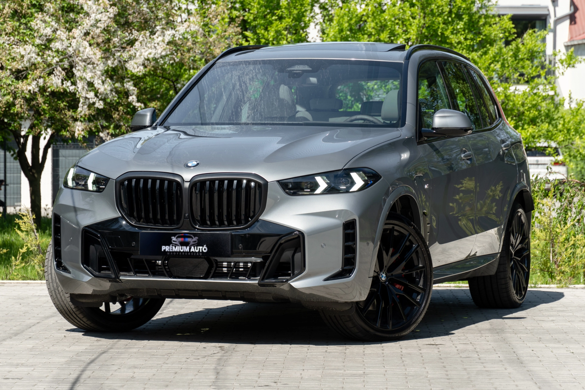 BMW X5 xDrive30d Azonosító: Br21