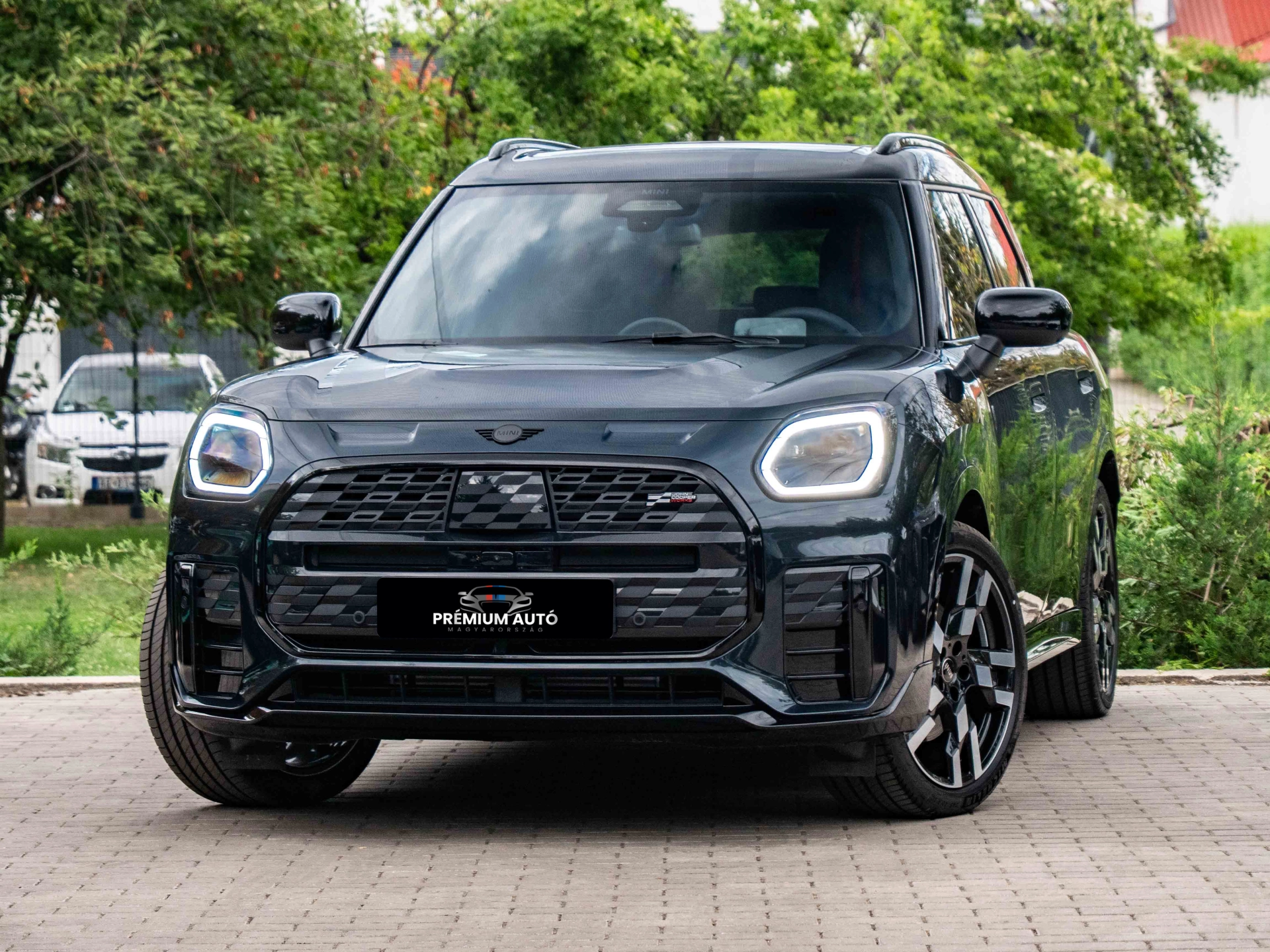 Mini Countryman D